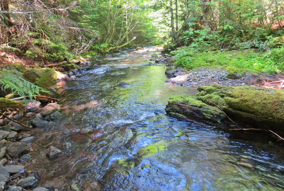 north santiam river graphic